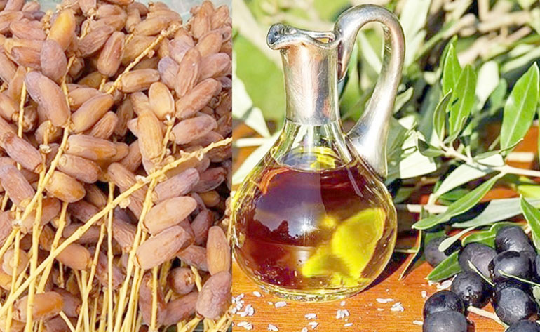 زيت الزيتون والتمور والقوارص..   موسم تصديري واعد يعزّز فائض الميزان الغذائي ويدفع عجلة الاقتصاد